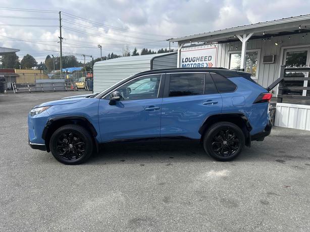 2023 Toyota RAV4 image 4