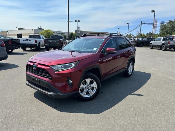 2020 Toyota RAV4 Hybrid Xle image 1