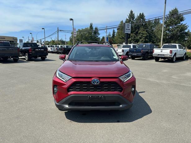 2020 Toyota RAV4 Hybrid Xle image 8