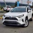 2020 Toyota RAV4 Hybrid LE AWD - Back up Camera thumbnail image