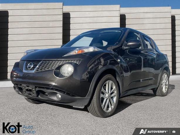 2013 NISSAN JUKE image 1