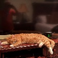 user_2494375 profile image