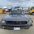 1966 Ford Mustang 2 door Coupe with Wide Body thumbnail image 8