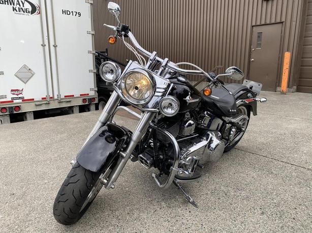 2008 Harley-Davidson FLSTFI Softail Motorcycle image 3