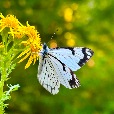 Reiki.With.Yvonne profile image