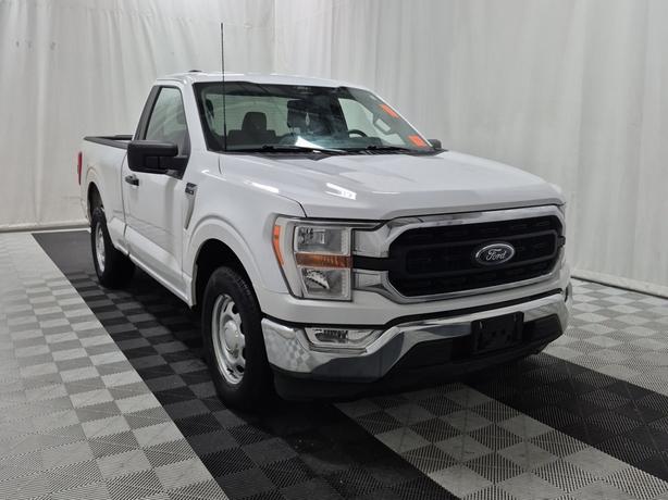 2022 Ford F-150 XLT 2WD Reg Cab 6.5' Box | No Reported Accidents! image 3