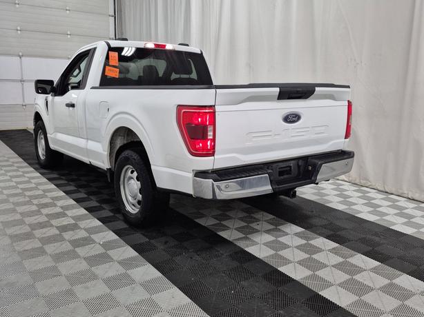 2022 Ford F-150 XLT 2WD Reg Cab 6.5' Box | No Reported Accidents! image 4