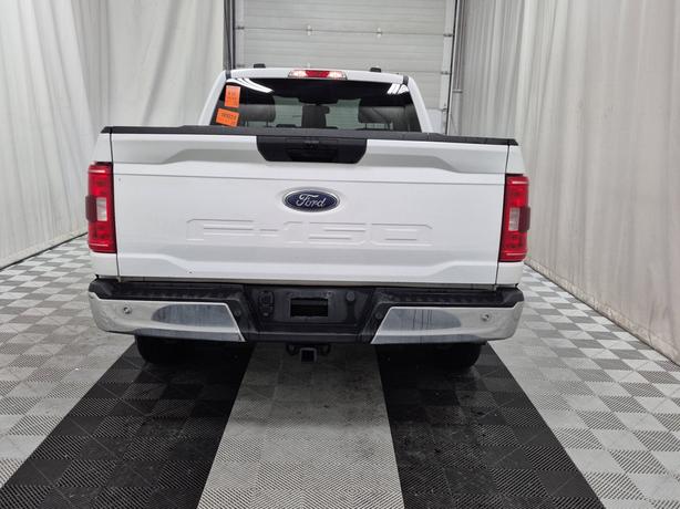 2022 Ford F-150 XLT 2WD Reg Cab 6.5' Box | No Reported Accidents! image 6