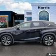 2018 Lexus NX NX 300 | Heated Seats! thumbnail image 3
