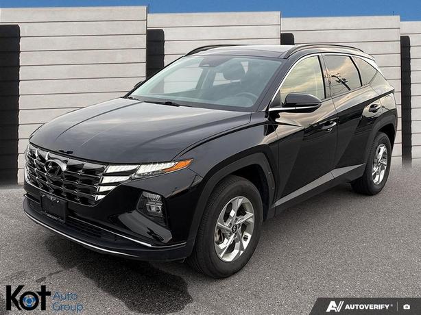 2024 Hyundai Tucson Trend image 1