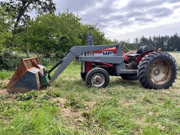 1976 Massey Ferguson 245 image 3
