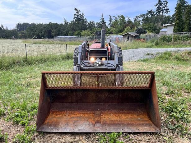 1976 Massey Ferguson 245 image 4