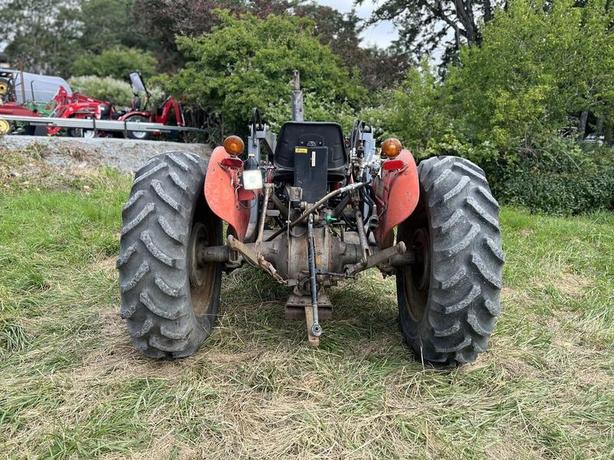 1976 Massey Ferguson 245 image 6