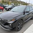2024 Hyundai Tucson Hybrid N-Line thumbnail image 2