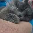 user_2501078 profile image