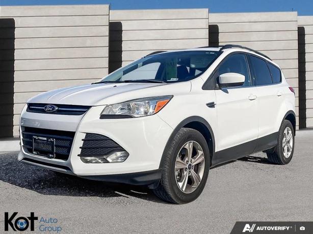 2013 FORD ESCAPE image 1