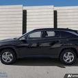 2024 Hyundai Tucson Trend HEATED SEATS & STEERING WHEEL! APPLE CARPLAY! LANE-KEE thumbnail image 3
