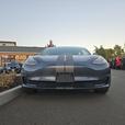 2019 Tesla Model 3 Standard Range Plus | Autopilot! thumbnail image 2