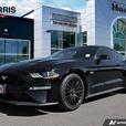 2022 Ford Mustang GT Premium | One Owner | GT Performance Package! thumbnail image 1