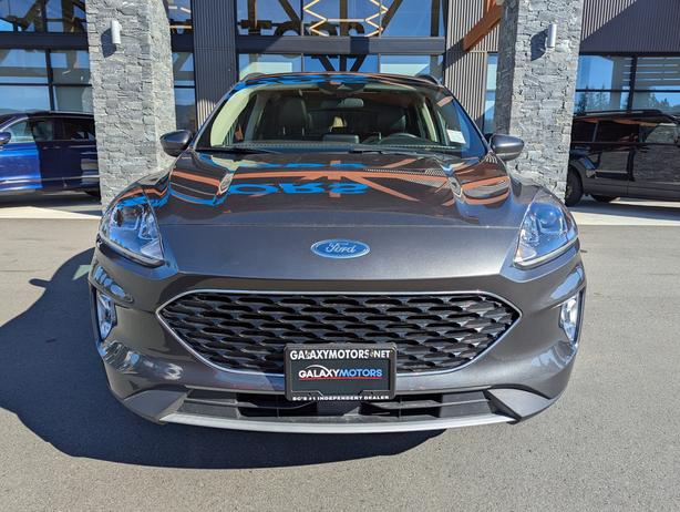 2020 Ford Escape SEL - No Accidents, AWD, Heated Seats, Sunroof image 3