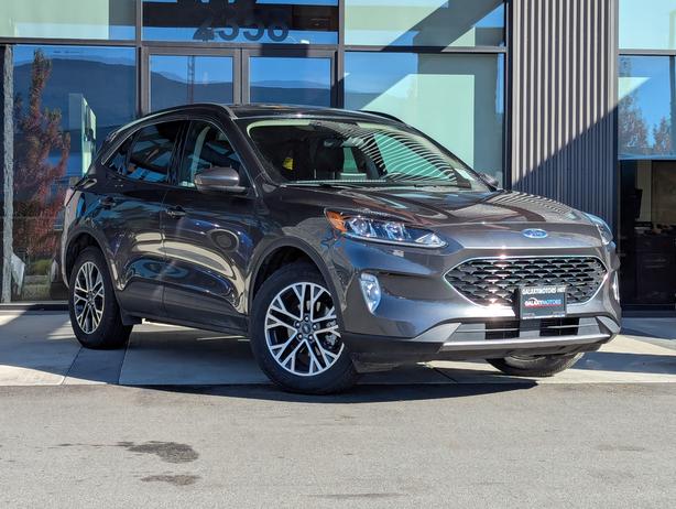 2020 Ford Escape SEL - No Accidents, AWD, Heated Seats, Sunroof image 4