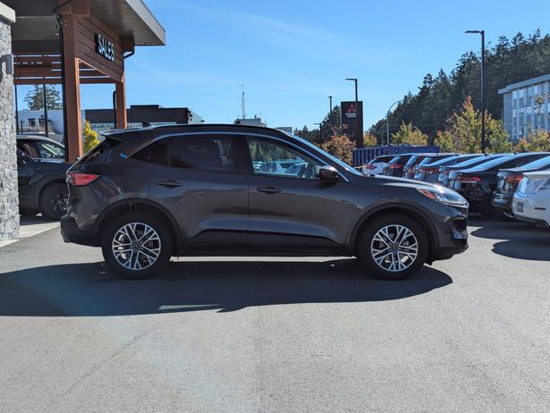 2020 Ford Escape SEL - No Accidents, AWD, Heated Seats, Sunroof image 5