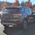2020 Ford Escape SEL - No Accidents, AWD, Heated Seats, Sunroof thumbnail image 6