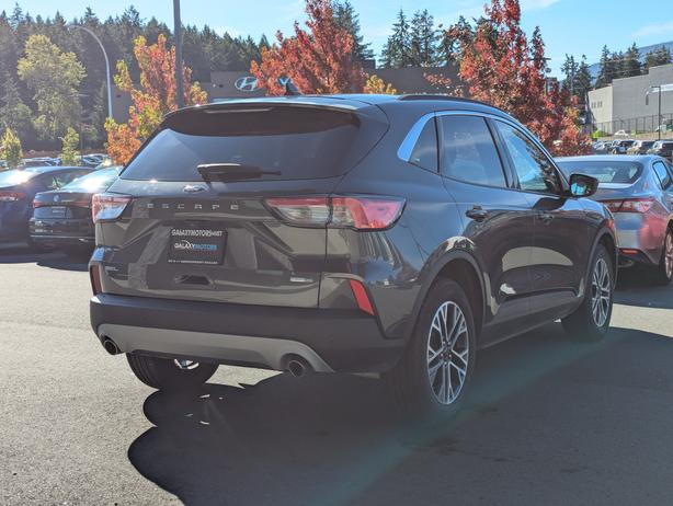 2020 Ford Escape SEL - No Accidents, AWD, Heated Seats, Sunroof image 6