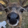 user_2503649 profile image