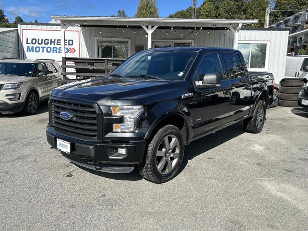 2015 Ford F-150 image 3