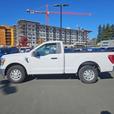 2022 Ford F-150 XLT 2WD Reg Cab 6.5' Box | No Reported Accidents! thumbnail image 3