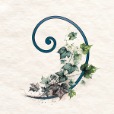 Spirit Nourished Earth profile image