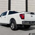 2024 FORD F-150 thumbnail image 4
