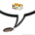opalisopods profile image