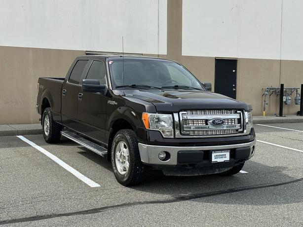 2013 Ford F-150 image 1