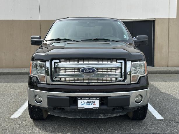 2013 Ford F-150 image 2