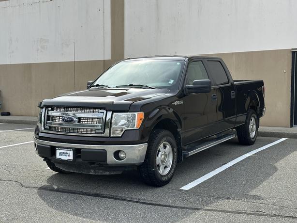 2013 Ford F-150 image 3