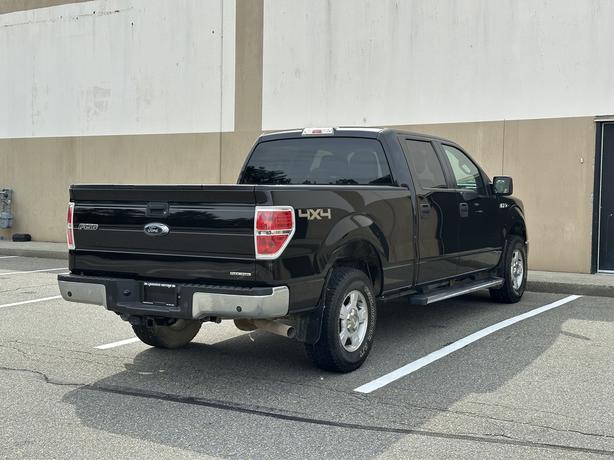 2013 Ford F-150 image 6