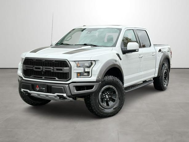 2017 Ford F-150 image 1