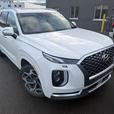 2021 Hyundai Palisade Ultimate Calligraphy thumbnail image 1