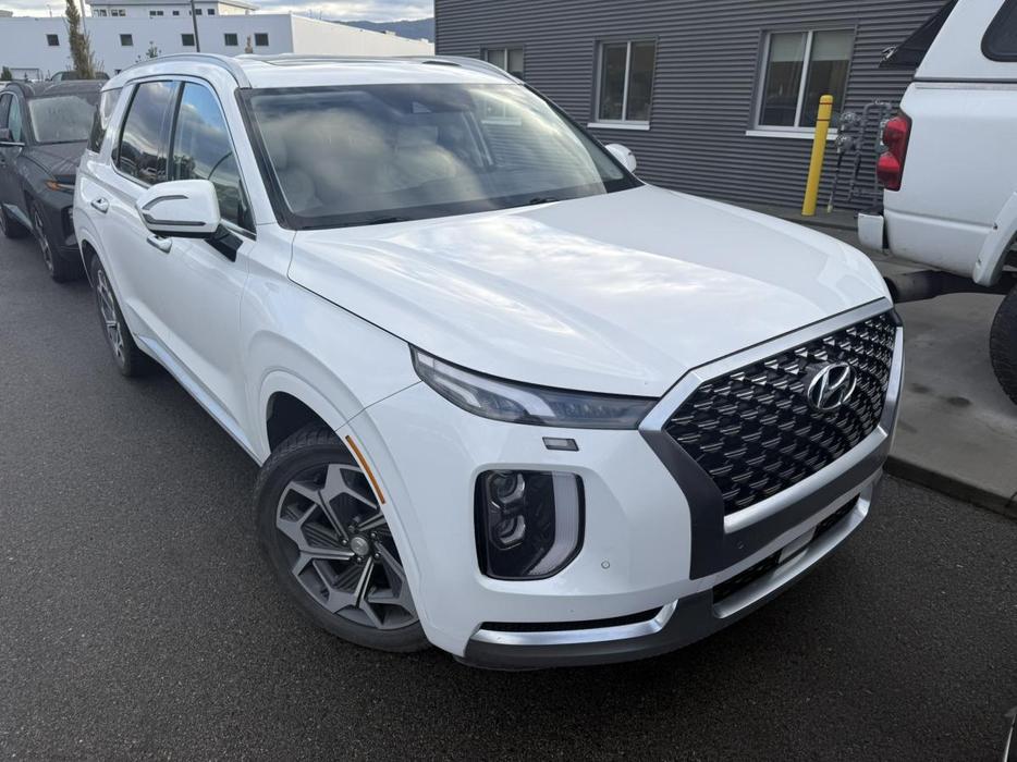 2021 Hyundai Palisade Ultimate Calligraphy display photo