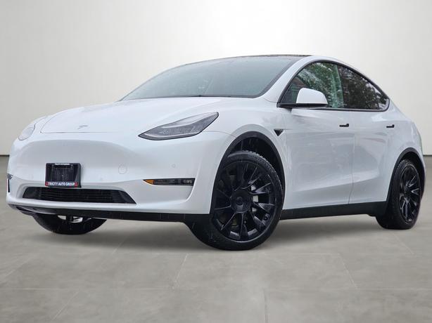 2021 Tesla Model Y Standard Range - No Accidents, Black Interior image 1