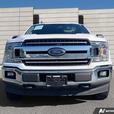 2019 FORD F-150 thumbnail image 2