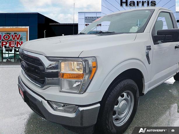 2022 Ford F-150 XLT 2WD Reg Cab 6.5' Box | No Reported Accidents! image 8