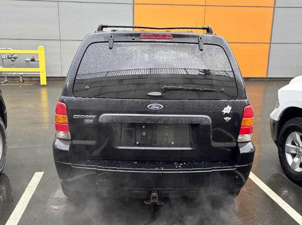 2007 Ford Escape 4WD 4dr Auto XLT | Power Sunroof! image 5