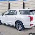 2021 Hyundai Palisade Ultimate Calligraphy thumbnail image 4