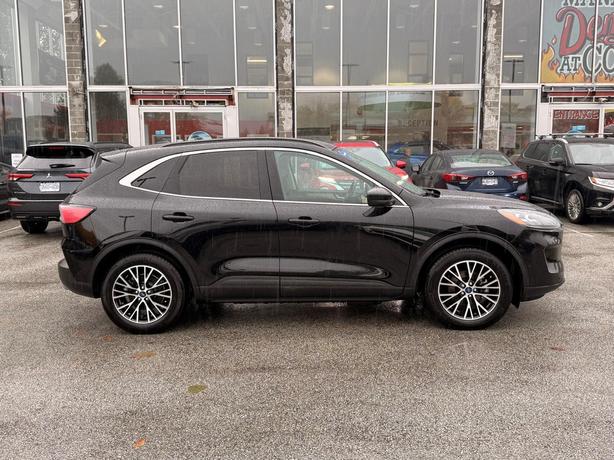 2022 Ford Escape image 5