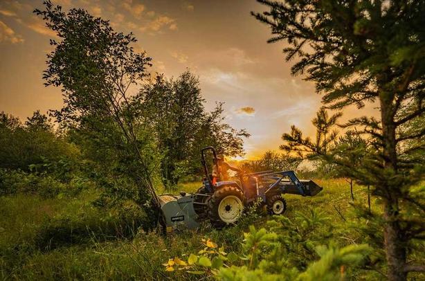 2025 Baumalight MP348 Fixed Tooth Mulcher image 8