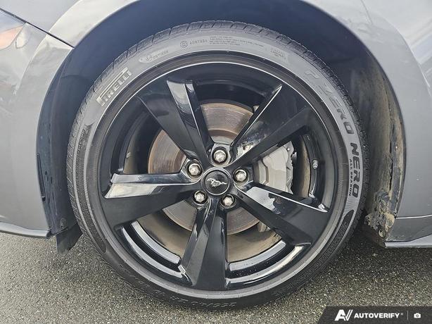 2022 Ford Mustang GT Premium Fastback | No Reported Accidents! image 6