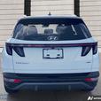 2024 Hyundai Tucson Trend SUNROOF! LEATHER INTERIOR! BACK UP CAMERA! BLUETOOTH! thumbnail image 5